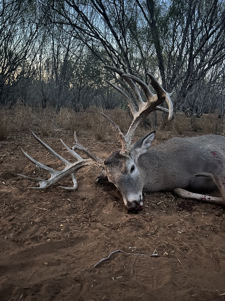 Hunting photo