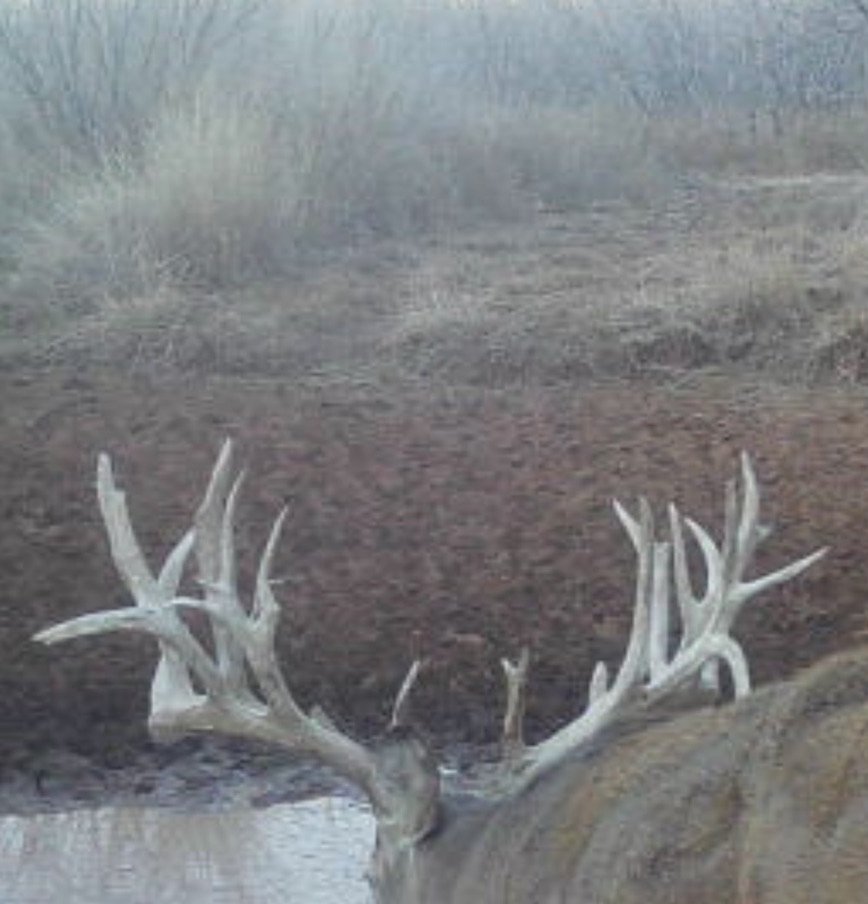 Hunting photo